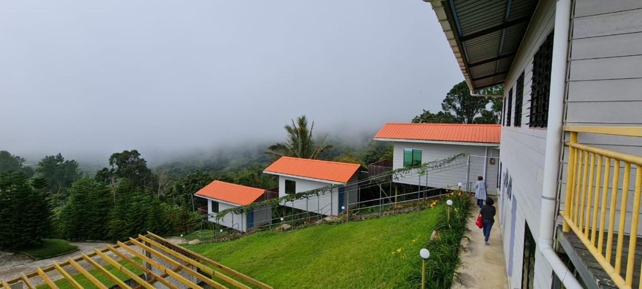 The Cloud Kinabalu- Chalet Ranau Eksteriør billede
